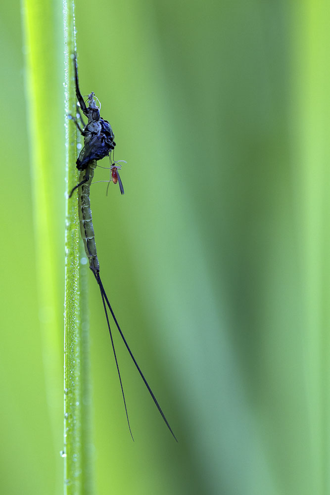 Monatsbilder August 2013